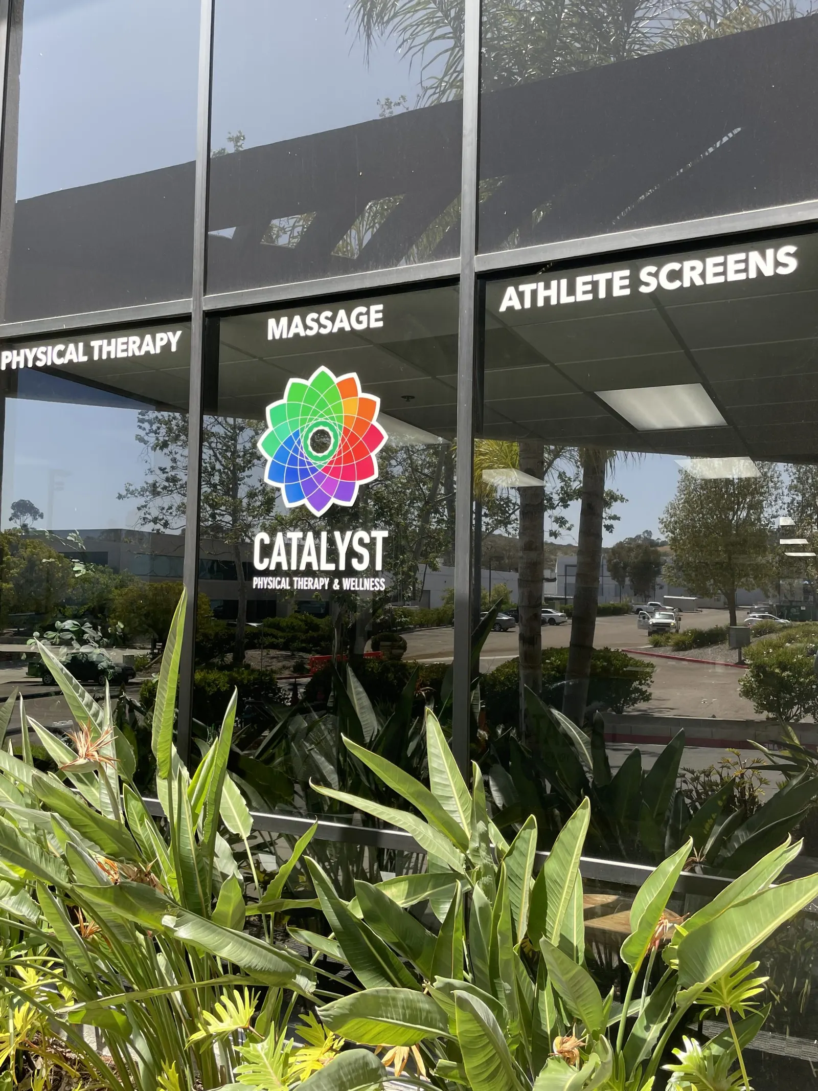 Catalyst Physical Therapy & Wellness