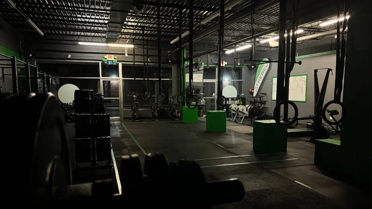 TREBEL Wellness